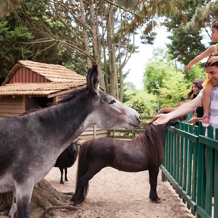Village Pierre & Parco vacanze Moliets-et-Maa