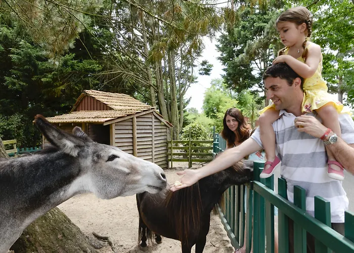 Village Pierre & Feriepark Moliets-et-Maa