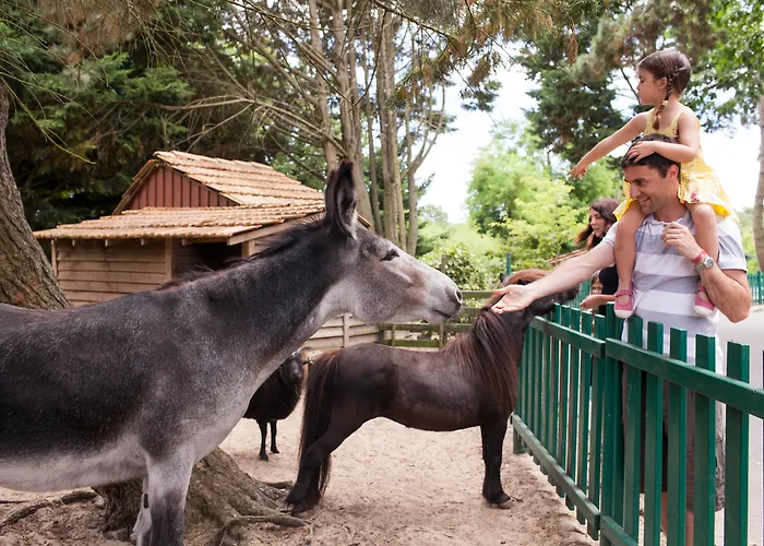 Village Pierre & Tatil parkı Moliets-et-Maa